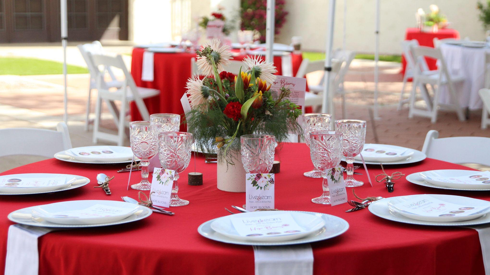 Live & Learn’s beautiful courtyard was transformed into a location for a lovely spring brunch.